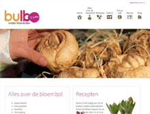 Tablet Screenshot of bloembollencentrum.nl